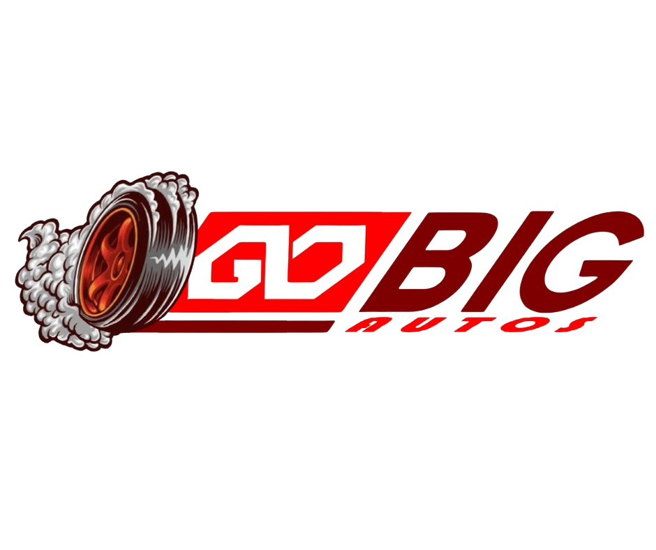 Logo Partial Transparent - Gobig Unlimited